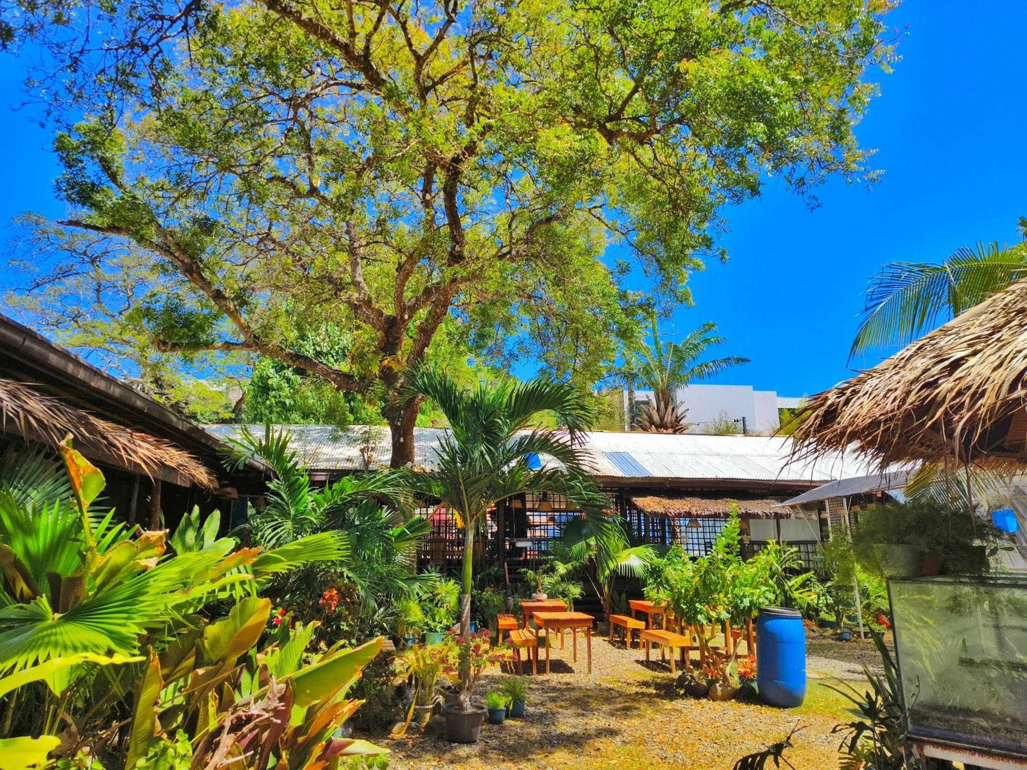 Lokal Hut Bed And Breakfast Puerto Princesa Exterior photo